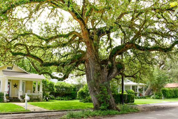 Columbus, Texas